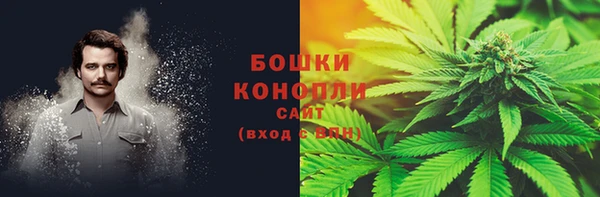 спайс Богородицк