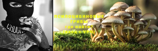 спайс Богородицк