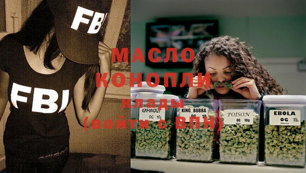 молекула духа Богданович