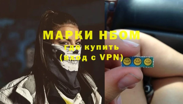 молекула духа Богданович