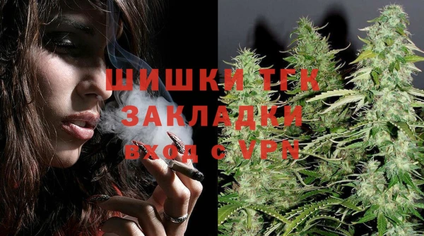 молекула духа Богданович