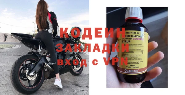 молекула духа Богданович