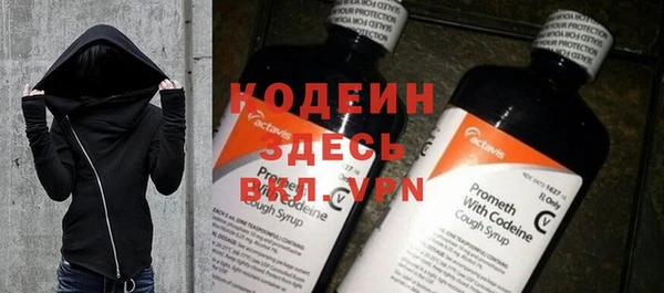 молекула духа Богданович