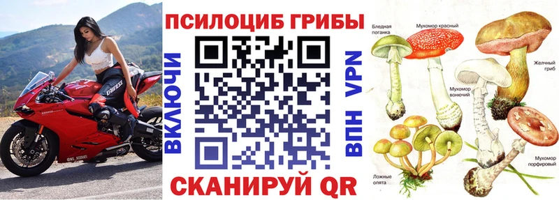 Галлюциногенные грибы Psilocybine cubensis  купить наркотики сайты  Вельск 